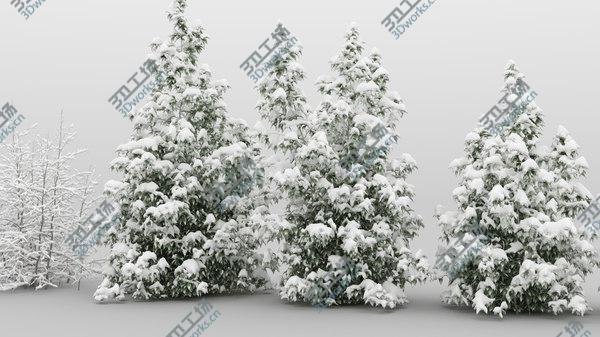 images/goods_img/20210312/10plus10 Forest Bush/5.jpg